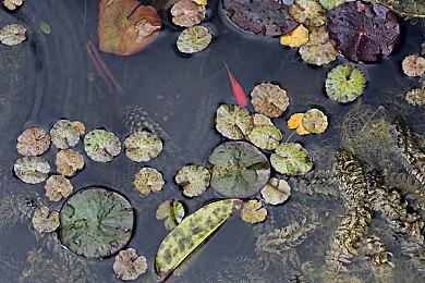 《星刃》发布会剪辑视频：感谢玩家与女主度过美好时光
